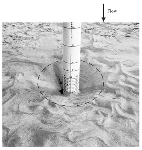 39 Equilibrium Scour Hole In The Experiment From Roulund Et Al 2005