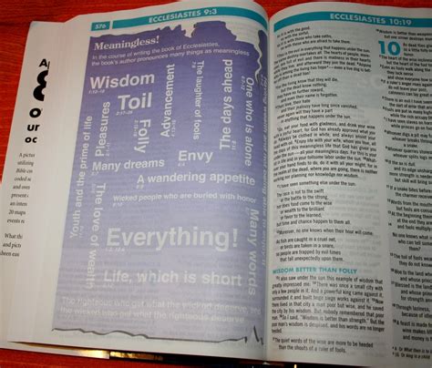 Zondervan Niv Quickview Bible 013 Bible Buying Guide