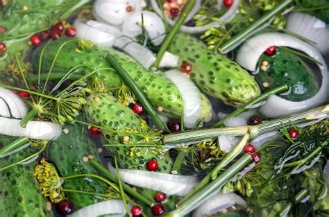 Ein Klassiker aus Omas Rezeptbuch knackig frische Gurken in einem süß