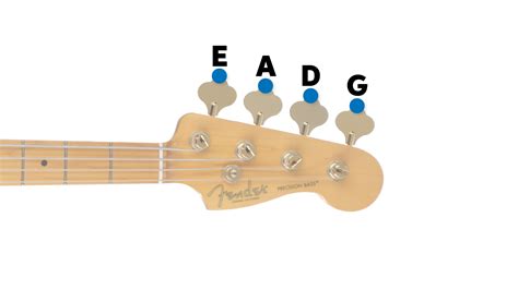 Bass Guitar Tuning Guide How To Tune Bass Guitars Sweetwater