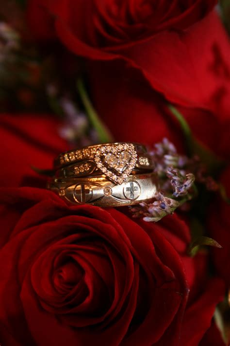 Wedding Rings Bride And Groom Ring In Flowers Roses Wedding Fresh