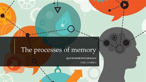 The Processes Of Memory Youtube