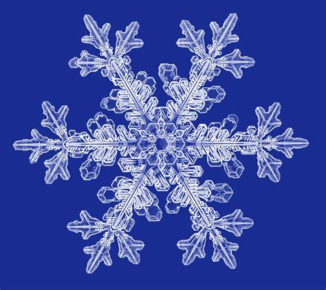 Snowflake Photographs Snowflakes Real Crystal