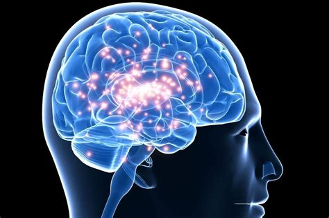 Epilepsie Forschung Wie Ein Gewitter Im Gehirn Kreis Tübingen