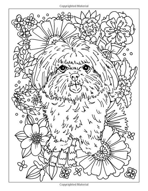 If that is what you are looking for, just look up the non grooming shih tzu. Amazon.com: Special Shih Tzus: A Cute Dog Colouring Book ...