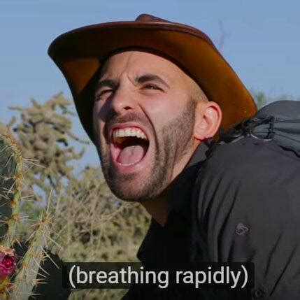 Coyote Peterson Memes