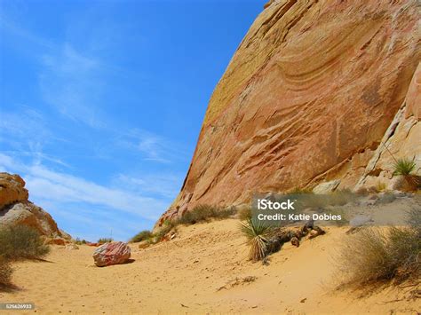 Ancient Nevada Seabed At Valley Of Fire State Park Stock Photo