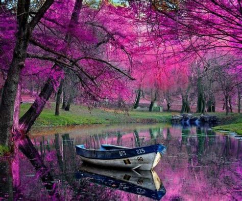 Love This Purple Beautiful Landscapes Pictures Scenery
