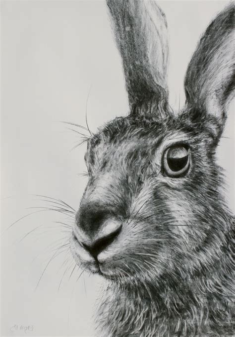 Hare Artwork Jm Hare Drawing 6 Contemporary Art Gallery