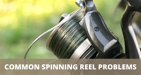Common Spinning Reel Problems And How To Fix Them