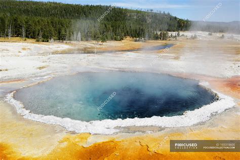 majestic view of hot springs yellowstone national park wyoming america usa — nature nobody