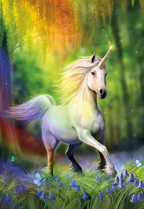 Download Beautiful Unicorn Running In Rainbow Forest Picture