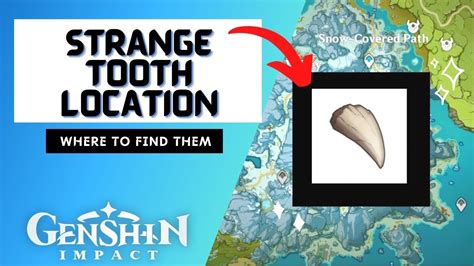 Where To Find The Strange Tooth In Dragonspine Genshin Impact Youtube