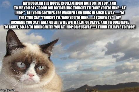 Grumpy Cat Sky Meme Imgflip