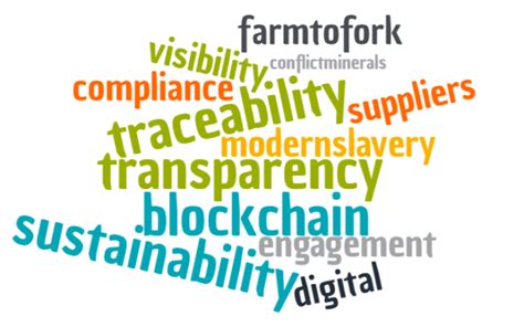 5 Popular Supply Chain Buzzwords Explained Transparency One