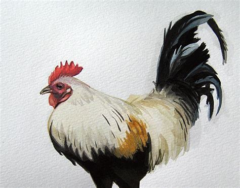 Rooster Painting Chicken Art Original Watercolor Country