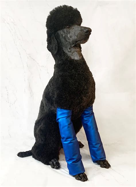 Black Waterproof Dog Leggings Leg Covering For Dogs Poodle Etsy Uk