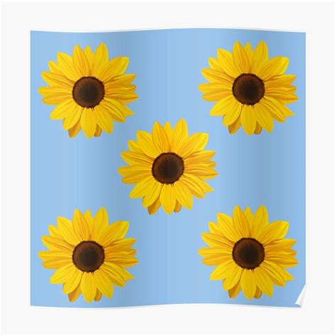 Sunflower Stickers Pack Poster By Rpadnis Redbubble