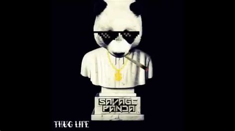 Thug Life Panda Youtube