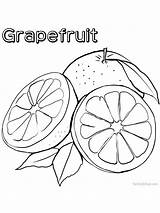 Grapefruit Citrus sketch template