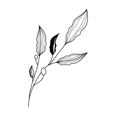 Premium Vector Floral Branch And Minimalist Leaves For Logo Or Tattoo Hand Drawn Line Wedding Herb