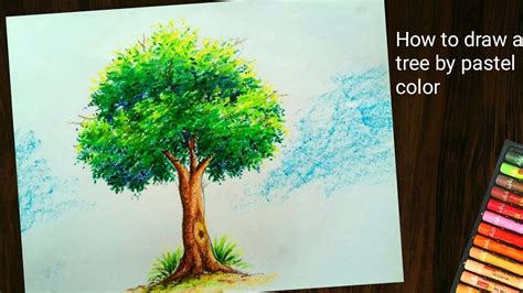 How To Draw Tree By Pastel Color Tree Painting YouTube Oil Pastel