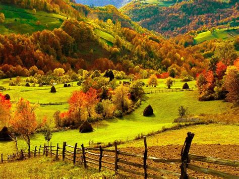 Nature Landscapes Fields Hills Fence Grass Farm Trees Forests Autumn