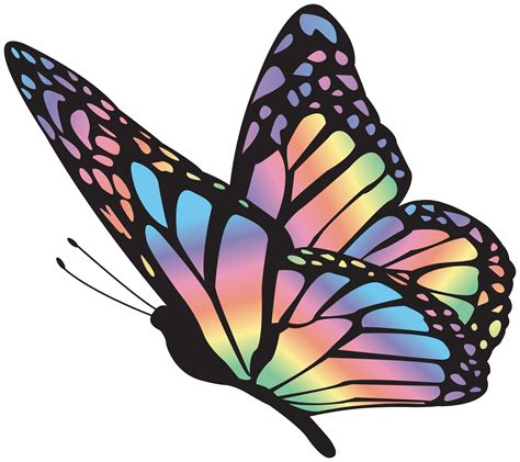 Butterfly Multicolor Clipart Image | Gallery Yopriceville ...