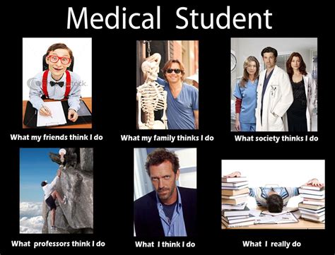 Medical Student Medical Student Humor Medical Humor Medical School