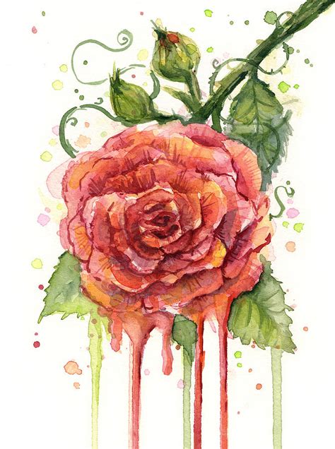 Red Rose Dripping Watercolor Painting By Olga Shvartsur Pixels Merch