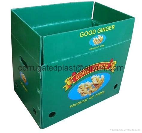 Corrugated Plastic Fruits Tray Vegetables Box As Customerized Tfl