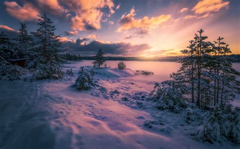 Bakrunner Natur Norge Vinter Landskap Snø 1920x1200