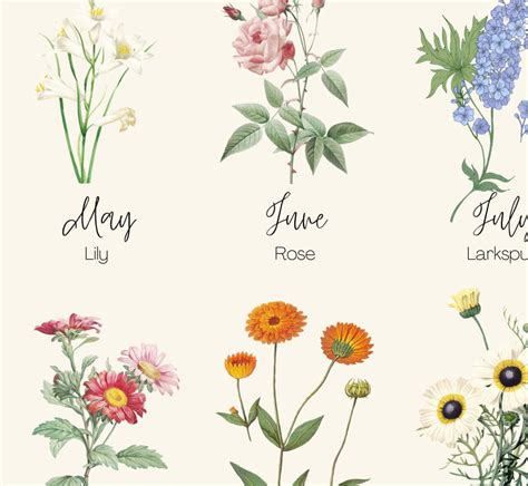 Birth Flower Print Botanical Watercolor Vintage Plants By Etsy Uk