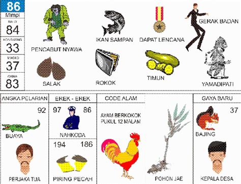 buku mimpi 45