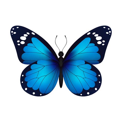 Blue Realistic Flying Monarch Butterfly On A White Background Vector