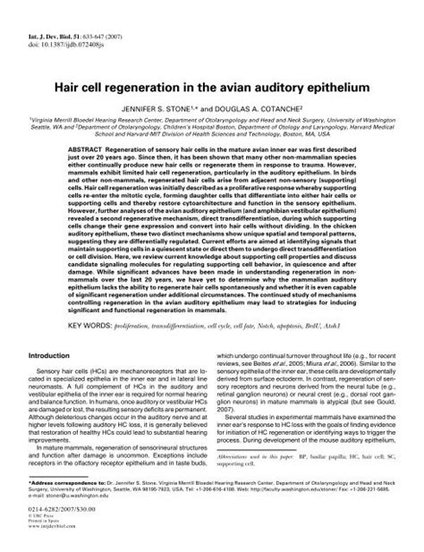 Hair Cell Regeneration In The Avian Auditory Epithelium
