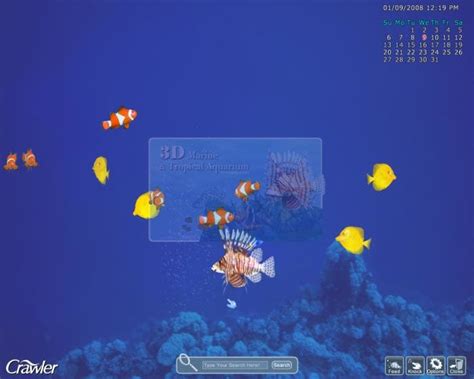 Crawler 3d Tropical Aquarium Screensaver Download