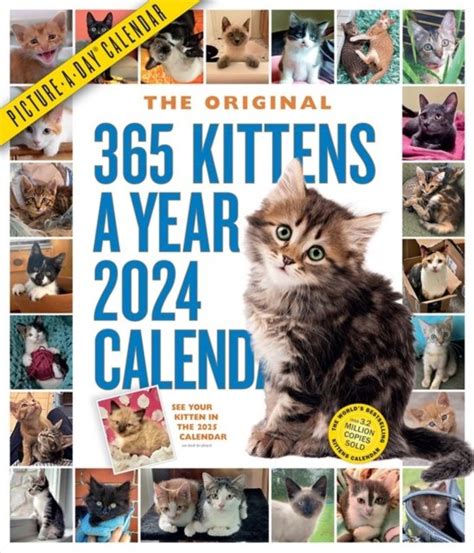 Workman Calendars · 365 Kittens A Year Picture A Day Wall Calendar 2024