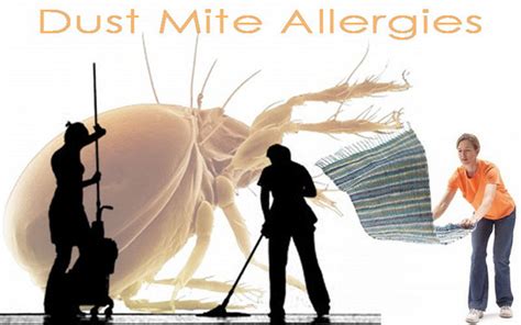 Controlling Dust Dust Mites And Other Allergens In Your Home Home