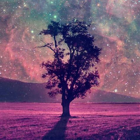 A Lone Tree Stands In The Middle Of A Field Under A Night Sky Filled