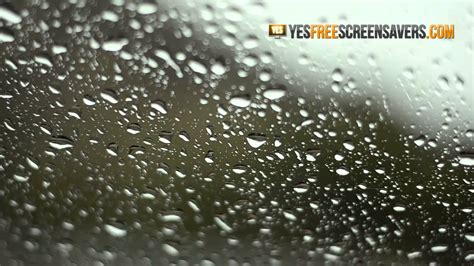 Rainy Screensavers