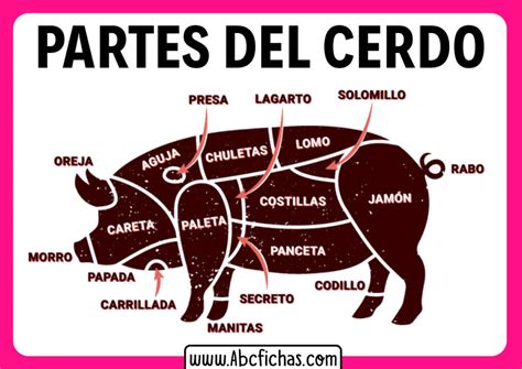 Partes Del Cerdo Carniceria Abc Fichas