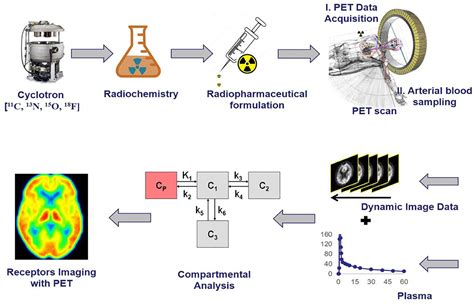 Frontiers Pet Molecular Imaging In Drug Development The Imaging And
