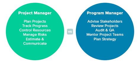 program management definition roles responsibilities and resources 2022
