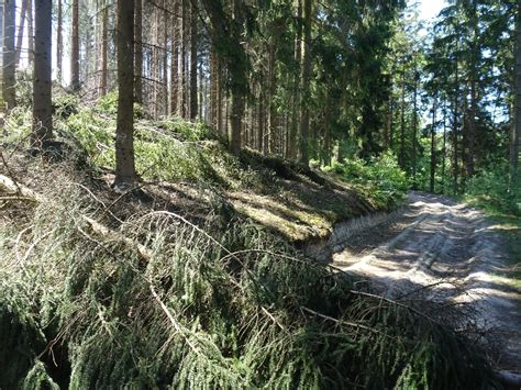 Nacktwanderung Harzer Naturistenstieg Mit Bericht Fsv Adolf Koch E V