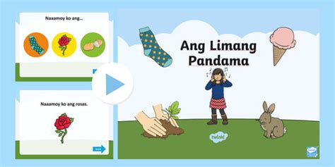 Limang Pandama Powerpoint Presentation Preschool Twinkl