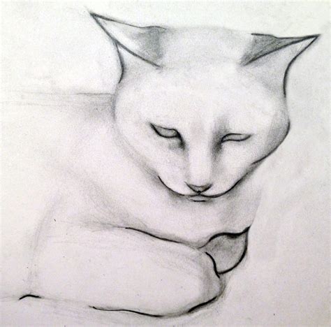 Drawing Cat Pics 37 Cat Drawing In Pencil Bodaswasuas