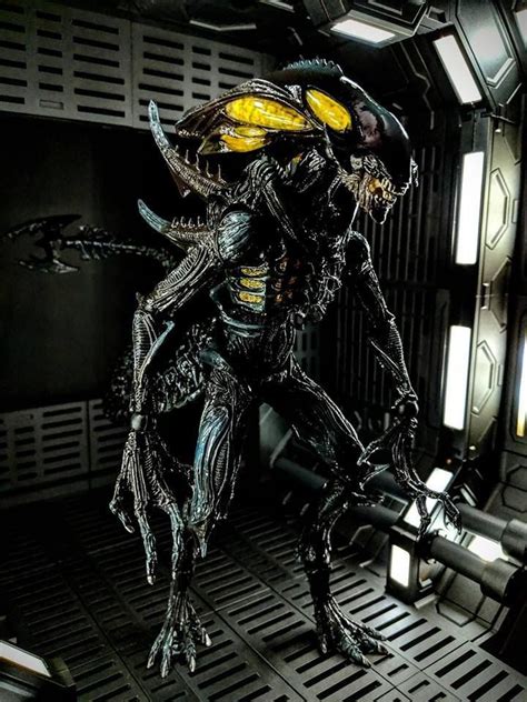 Pin On Aliens Xenomorfos