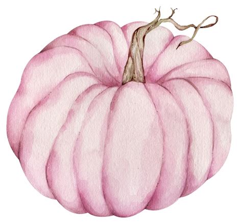 Premium Photo Watercolor Pink Pumpkin Isolated On The White