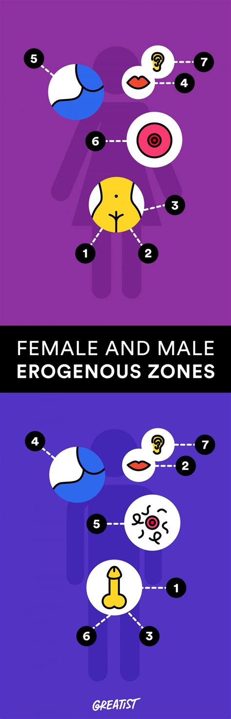 The 7 Erogenous Zones Chart Friends